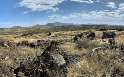 Iron-Ore Process Plant (DFS) – Dordabis
