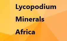 Lyco LMA Lycopodium Australia