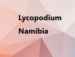 Lyco Namibia ADP Namibia