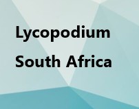 Lyco SA Kholo Marine and Minerals